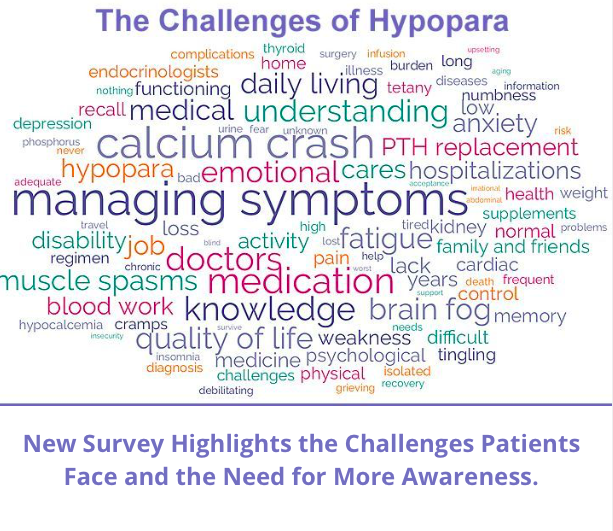 Hypoparathyroidism: Communicating the Patient Journey for this Rare Disease